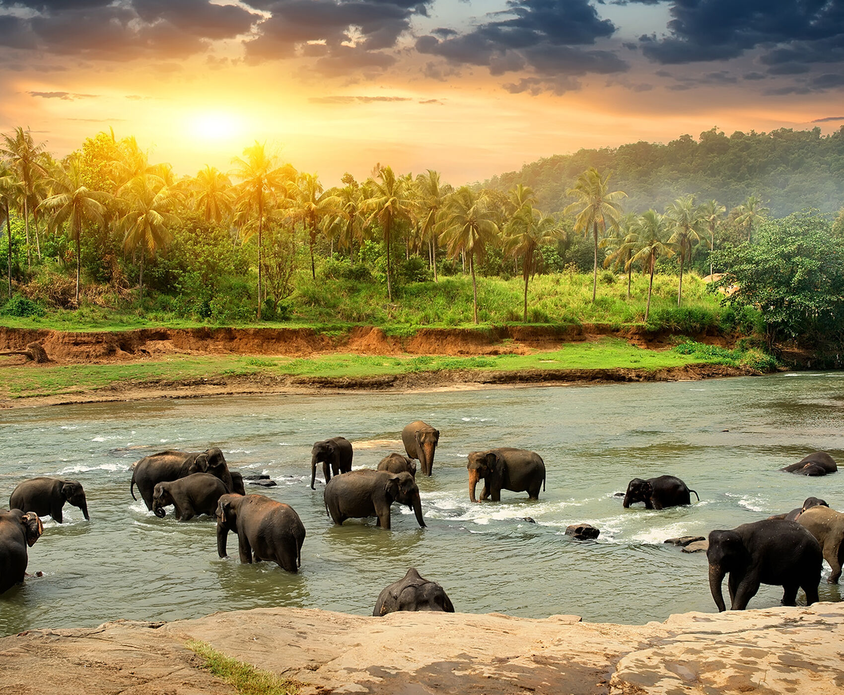 ANTALYA ÇIKIŞLI  HİNDİSTAN & NEPAL & SRİ LANKA